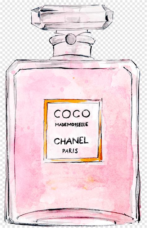 chanel perfume dibujo